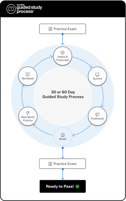 Black Spectacles Guided Study Process