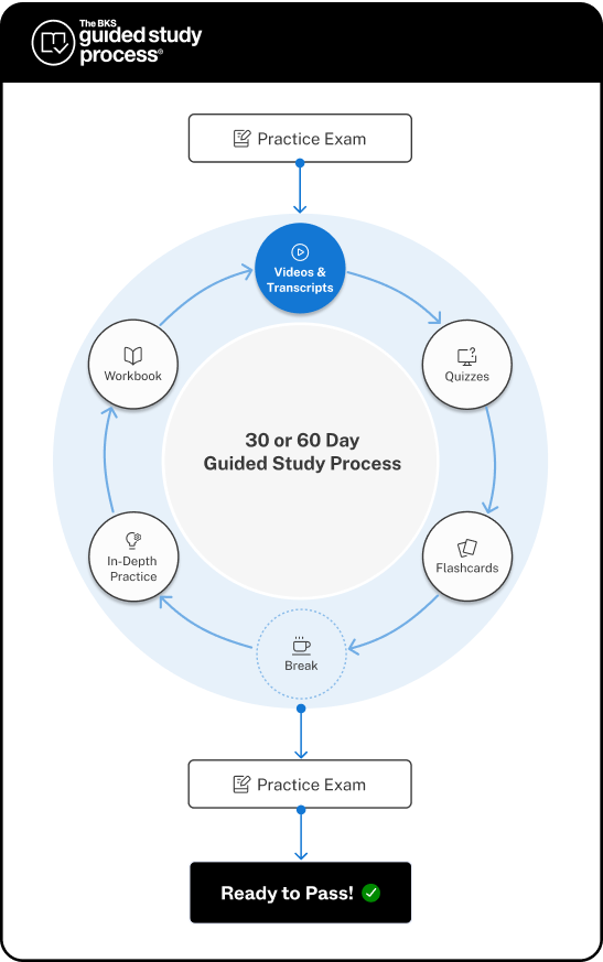 The Black Spectacles Guided Study Process