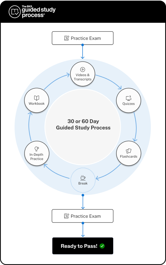 Black Spectacles Guided Study Process